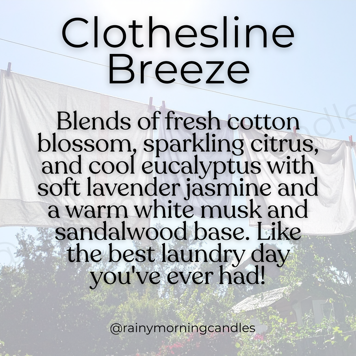 Clothesline Breeze | Wax Melts